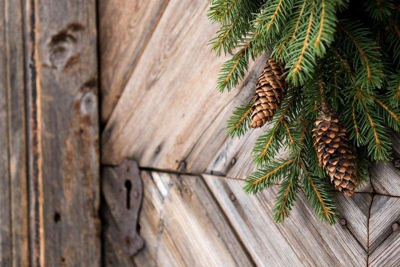 Tepakker med specielt udvalgte smage